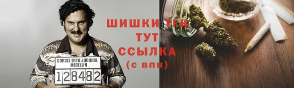 ГАЛЛЮЦИНОГЕННЫЕ ГРИБЫ Бородино