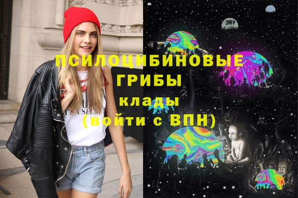 Альфа ПВП Богородск